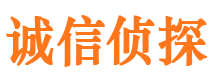 武功侦探公司